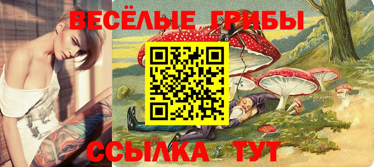 Галлюциногенные грибы Psilocybine cubensis  Псилоцибиновые грибы Psilocybine cubensis  Вход с VPN  сколько стоит  Камень-на-Оби 