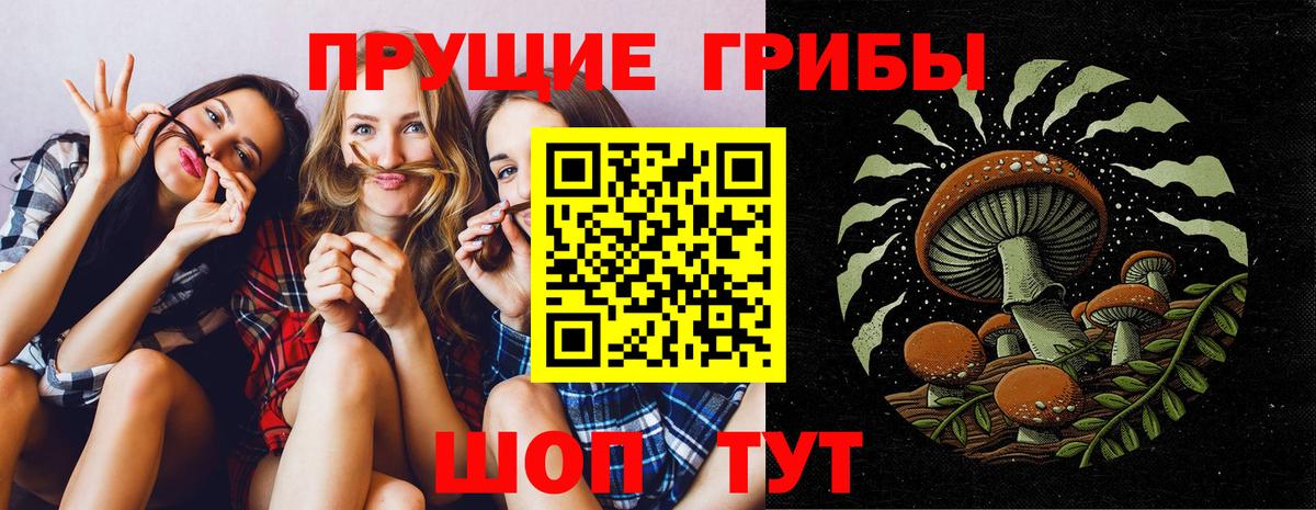 Псилоцибиновые грибы мицелий Камень-на-Оби